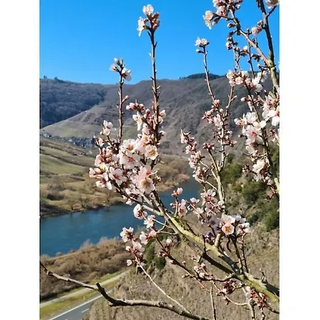 Kaliva Comfortable Holiday * Zell an der Mosel